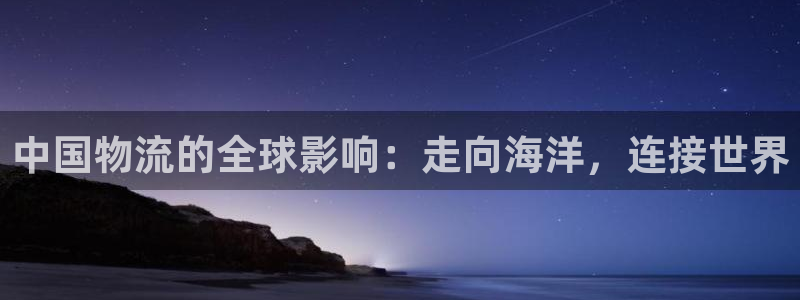 南宫28圈官网版：中国物流的全球影响
