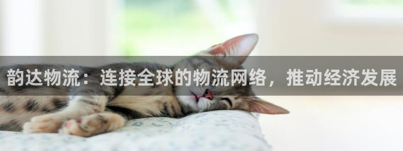 28圈连输10天：韵达物流：连接全球